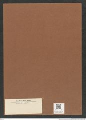 Diatomeae indet. Zeichnungen Sammlung Grunow Mappe 04622 (Herbarium_W_Grunow_drawings_Folder_04622)